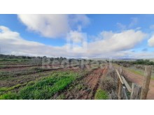 terreno agricola com olival em Paderne 6400m (2)%5/18