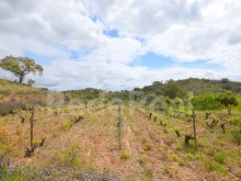 Деревенская земля на продажу в Вале Фигейра, Сан-Бартоломеу-де-Мессинес.