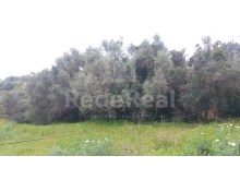 Rustikales Grundstück zum Verkauf in Almeijofras - Gemeinde Paderne