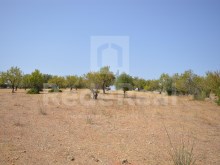 For sale rustic land for sale for agriculture