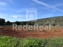 Land with Vineyard for sale in Salir, LOULÉ, ALGARVE
