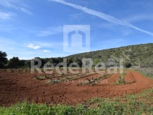 Land with Vineyard for sale in Salir, LOULÉ, ALGARVE%2/7
