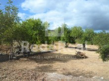 LAND WITH PROJECT FOR CONSTRUCTION OF HOUSING IN LOULÉ ALGARVE%5/12
