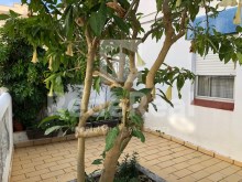 Semi-detached house with 4 bedrooms and garden in Pêra- Silves%21/25