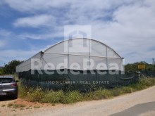 Agricultural land with legalized greenhouses and borehole