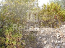 Grundstück mit Ruine zu verkaufen, Loulé, Algarve%5/6