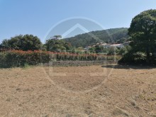 Land › Caminha | 