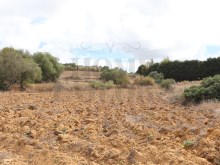 Rustic land in rural area in Carapiteira - Mafra | 