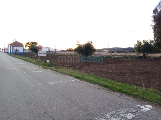 Terreno Rústico na freguesia de Monsaraz, Barrada | 