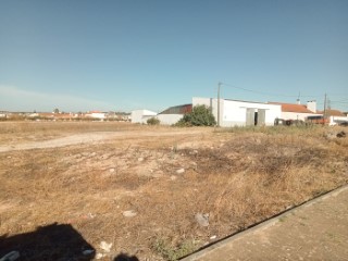Lote | 