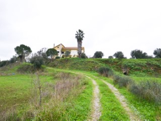 Farm with 107,882 m2 | 3 Bedrooms | 3WC