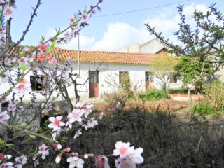 House located on a plot of 2,880 m2 | 2 Bedrooms | 2WC