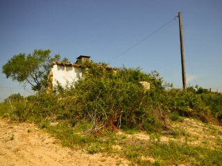 Land with Ruin near Santarem in the countryside, for sale | 