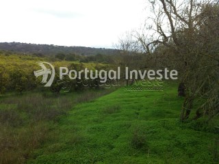For sale rustic land with fertile land, very well located in Albufeira- Portugal Investe | 