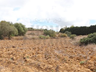 Agricultural land with great access! | 