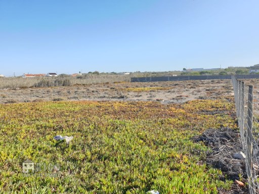 1185TR - Plot of urbanized land, located on the road of Remédios, Peniche. | 