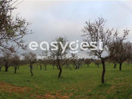 Excellent rustic land situated in the area of Guia in Albufeira | 