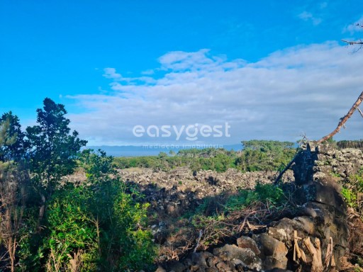 Land for construction of a house up to 237m2, on the island of Pico | 