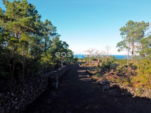 Land for construction of a distinguished house in Lajido, Pico Island | 