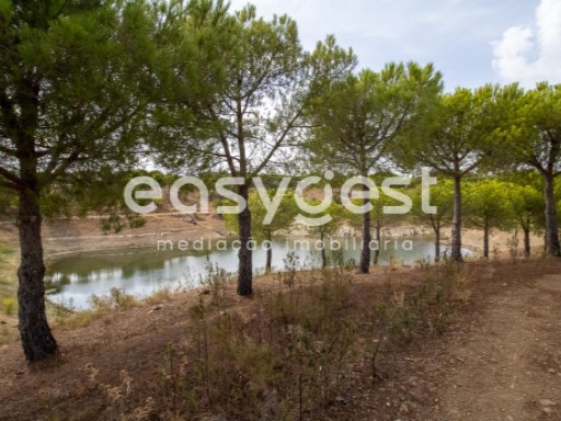 Agricultural land with 6.9 hectares in Atalaias, Azinhal, Castro Marim | 