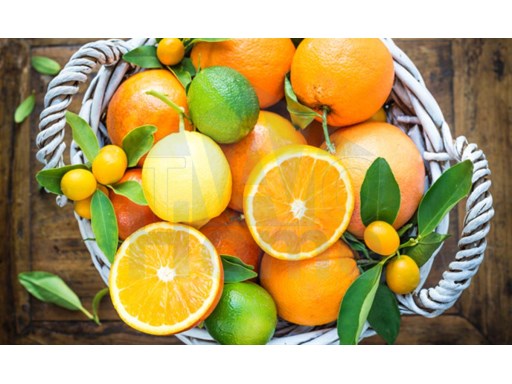 comida tipica laranjas%37/39