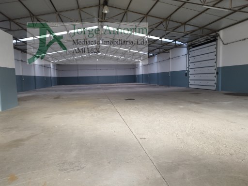 Warehouse › Vila Nova de Gaia | 