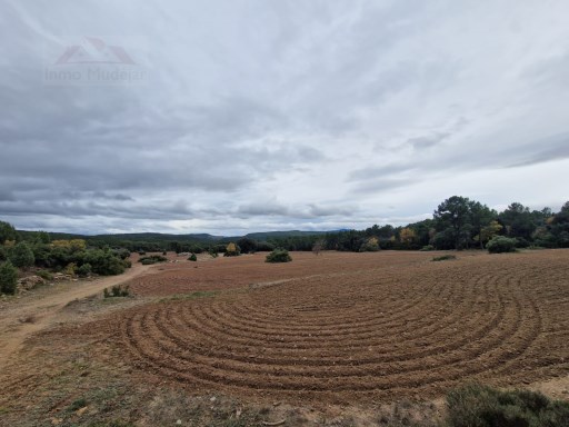 Farm Land › Albentosa | 