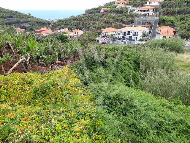 Terreno Rústico - Santa Rita - Funchal | 