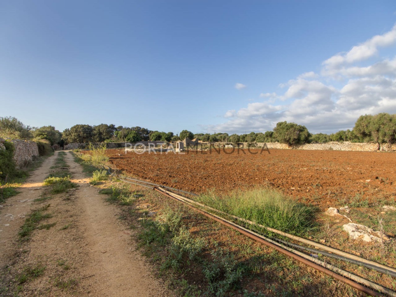 Amplio terreno rústico en venta cerca de Sant Lluís