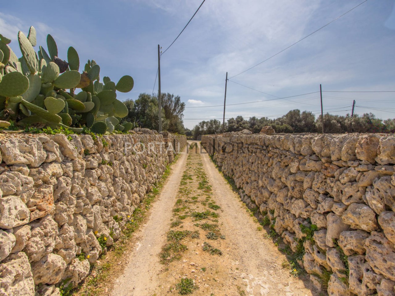 Casa de campo con gran terreno en venta en Menorca