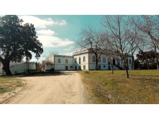 Country Estate › Avis | 