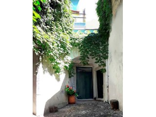 Charming house T3 unique and recessed, inserted in a private patio, green and very quiet - Lisbon -Santo Antonio%1/30