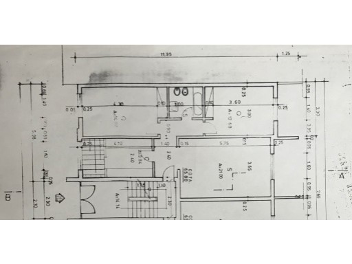 Planta%11/11