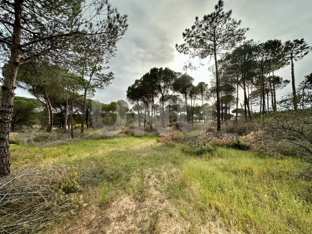 Terreno Rústico localizado na Quinta do Lago, Algarve