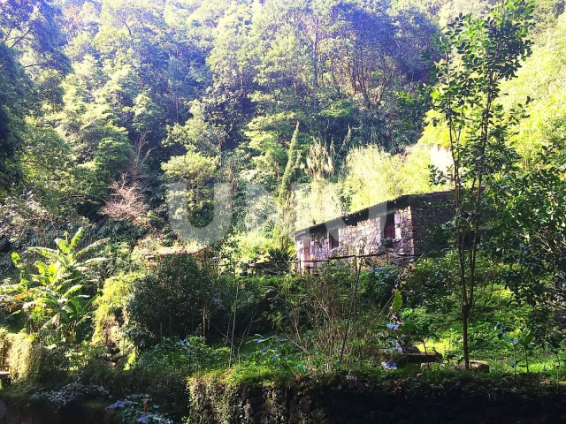 Casa isolada V1 com Terreno de 1.285 m2 em Água de Pau, Lagoa