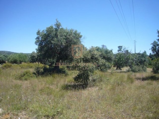 Ideal land for agricultural production or rural tourism - Pedrógão | 