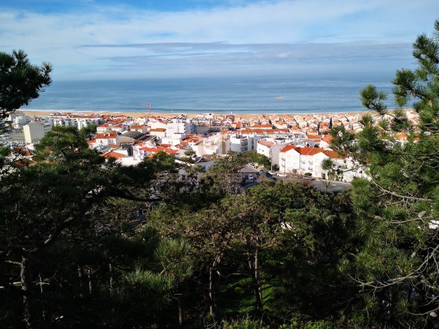 Empreendimento turístico com vista fantástica para o mar, com projecto aprovado Nazaré | 