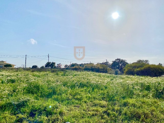 Plot of land for construction - Almancil | 