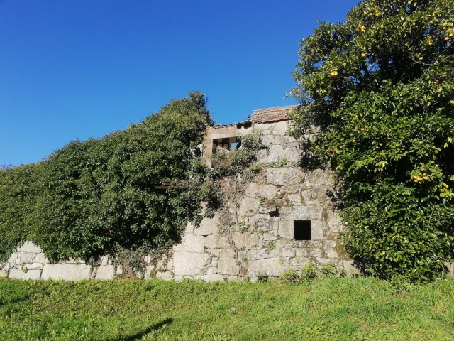 Maison à reconstruire avec terrain - Monte Córdoba - Santo Tirso | 4 Pièces