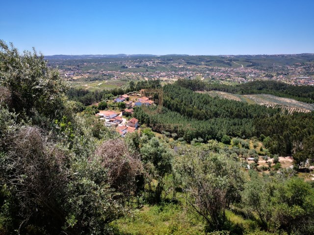 Terrain unique constructible dans la ville médiévale de Ourem avec projet approuvé- Fatima | 