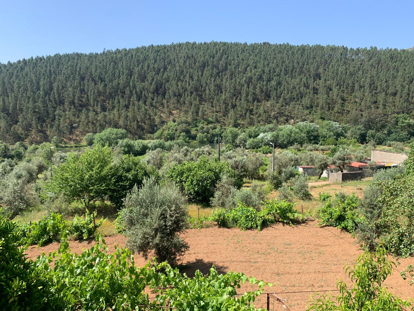 Balça - a 200 metros Rio Zêzere - Caravanismo e exploração agrícola!!