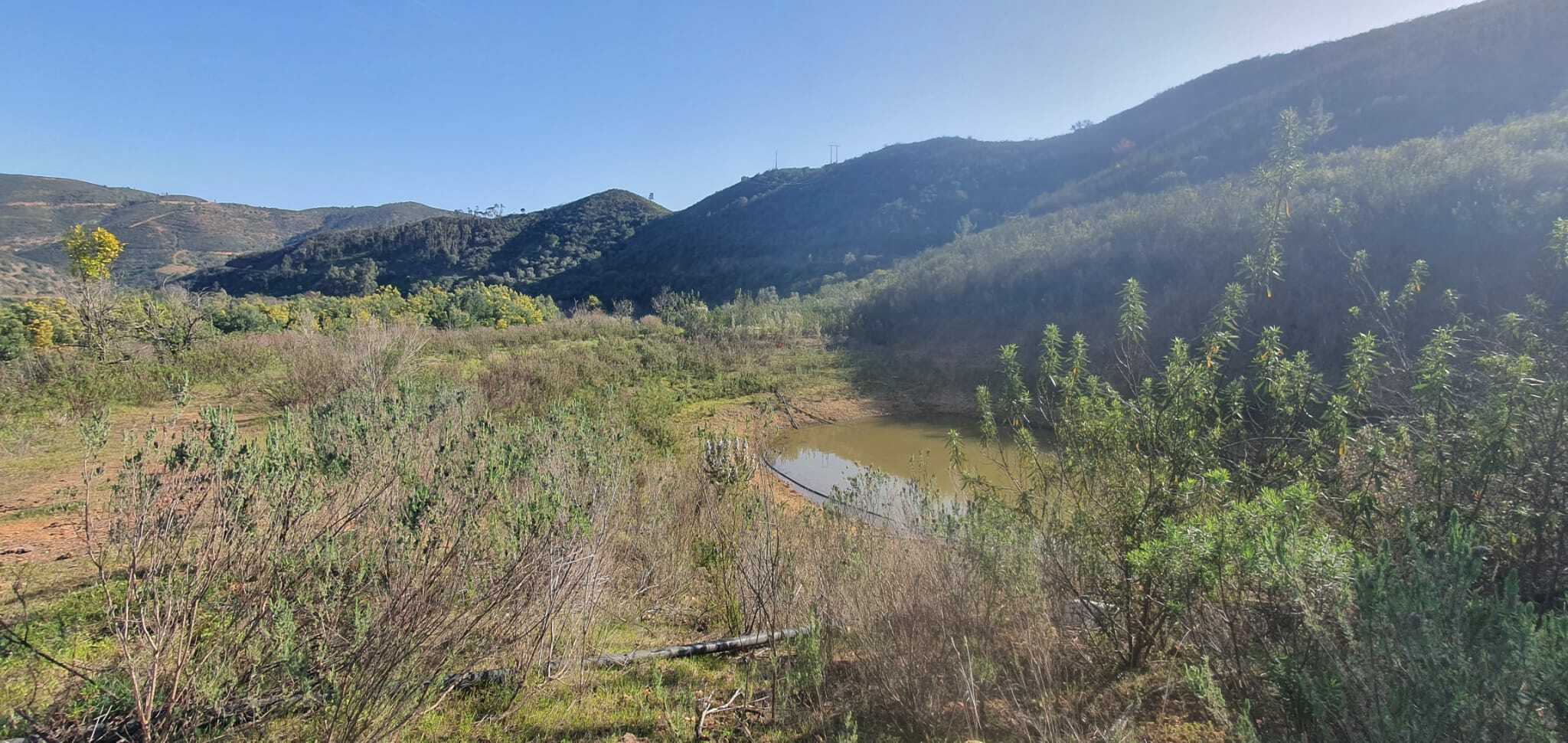 VENDE-SE MAGNIFICO TERRENO RÚSTICO COM 57.080M2 EM GUERREIRAS - ALFERCE - MONCHIQUE