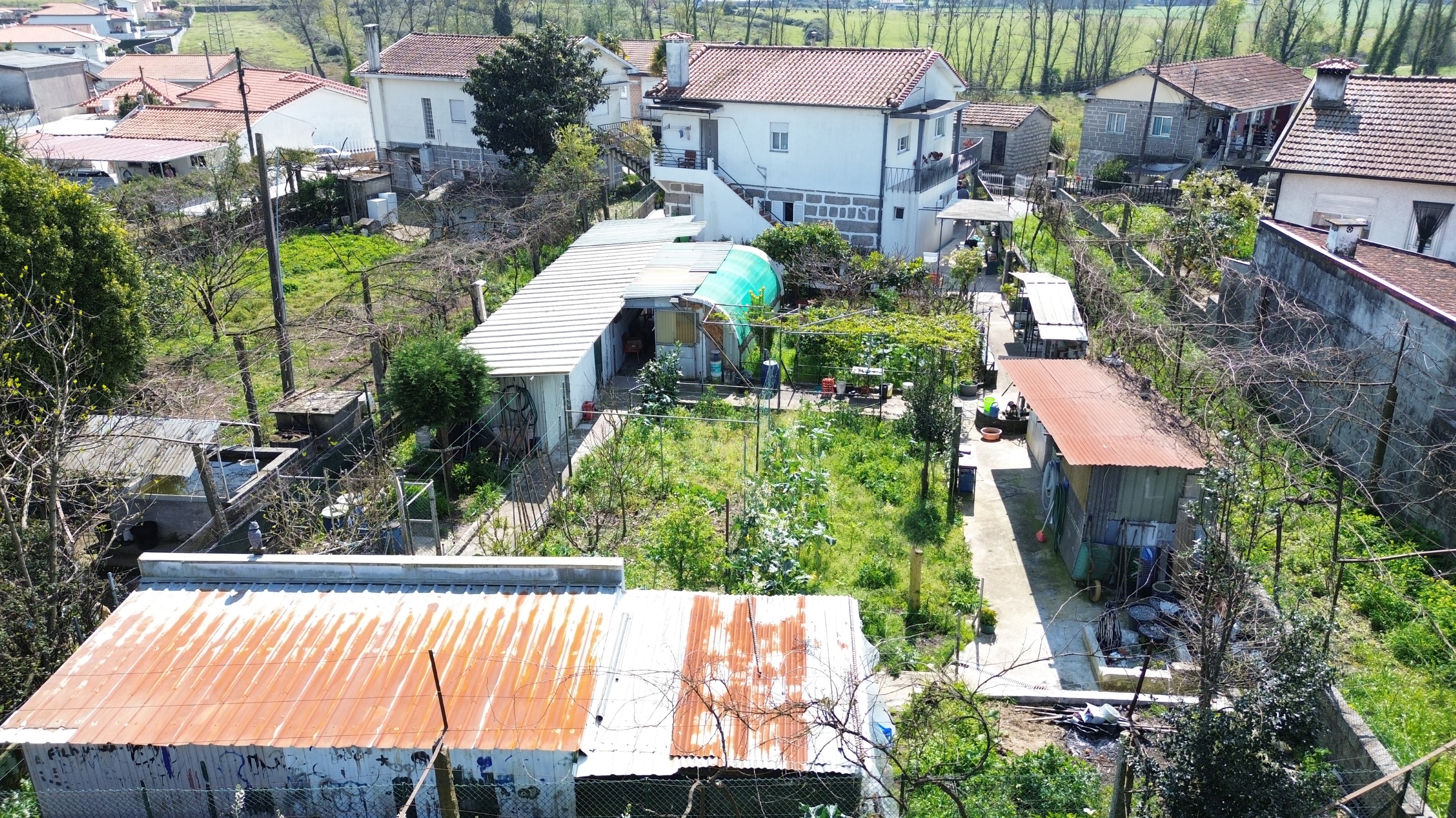 DJI_0320