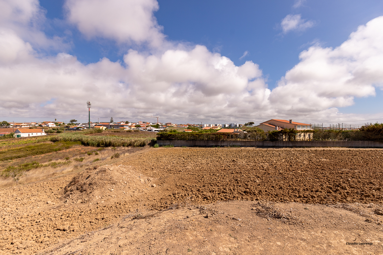 Terreno, A Casa das Casas