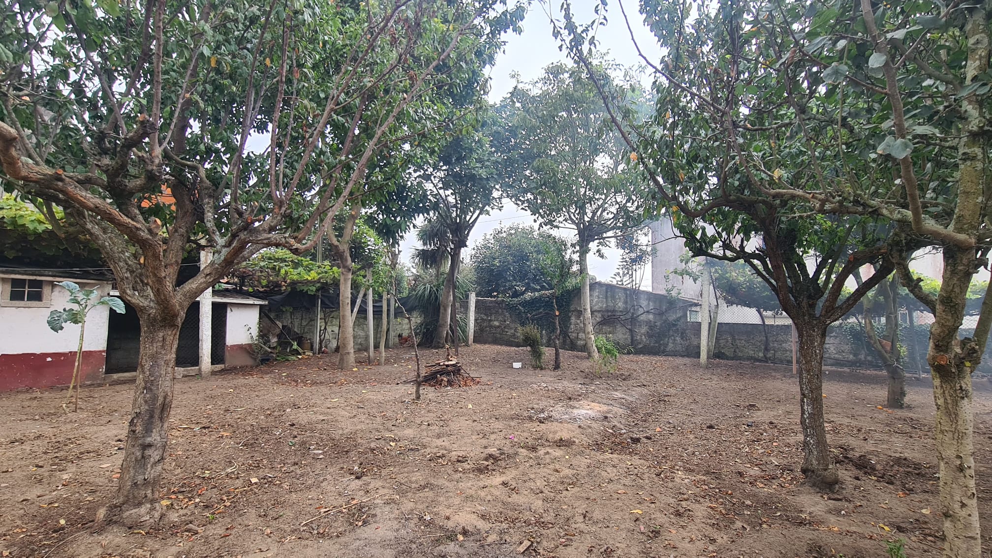 Jardim