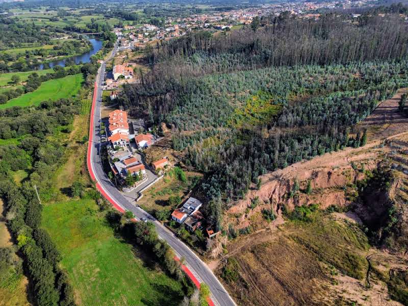 Terreno com 11.000 m² em Frossos - Albergaria-a-Velha