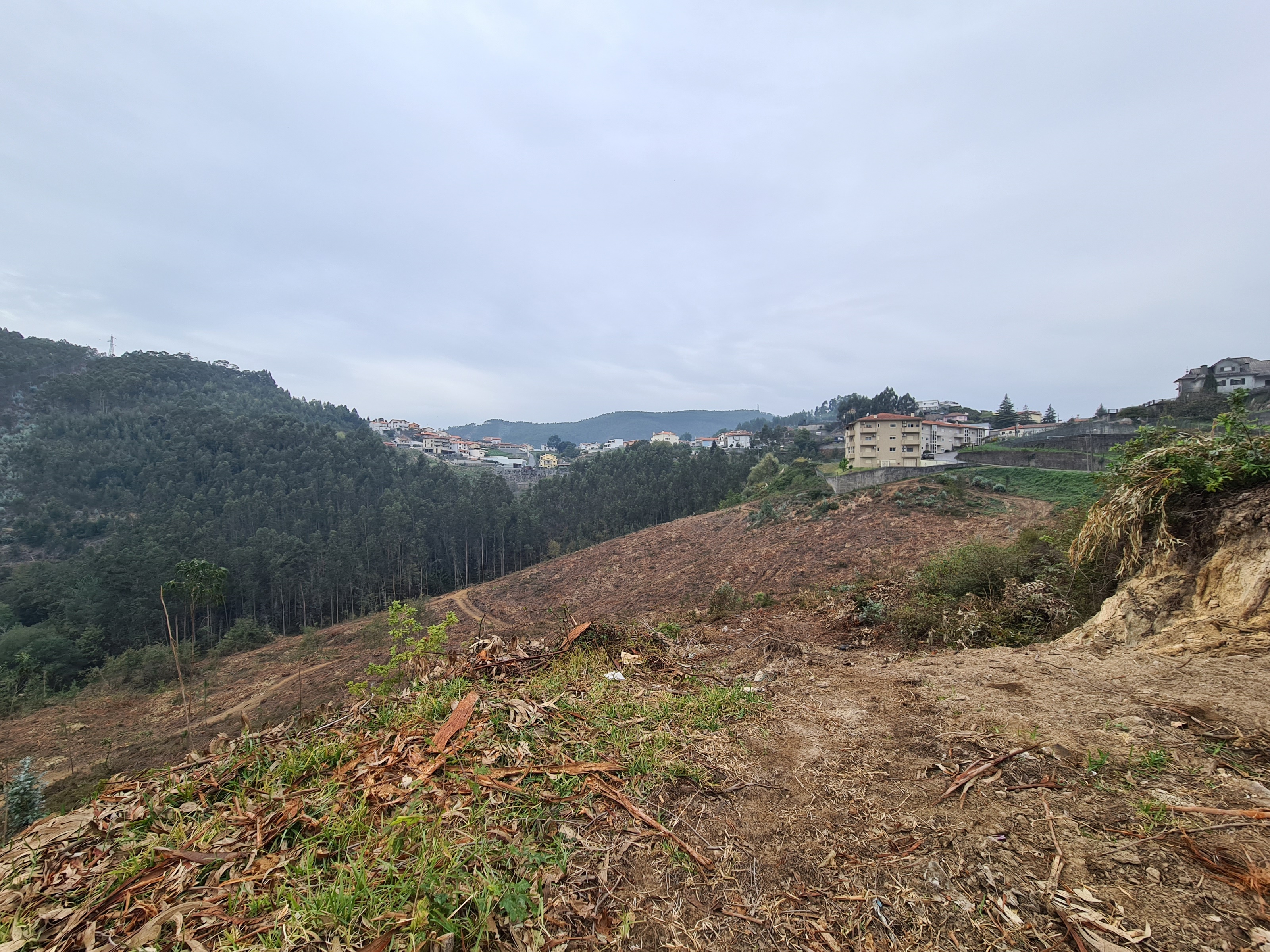 Terreno em Vale de Cambra