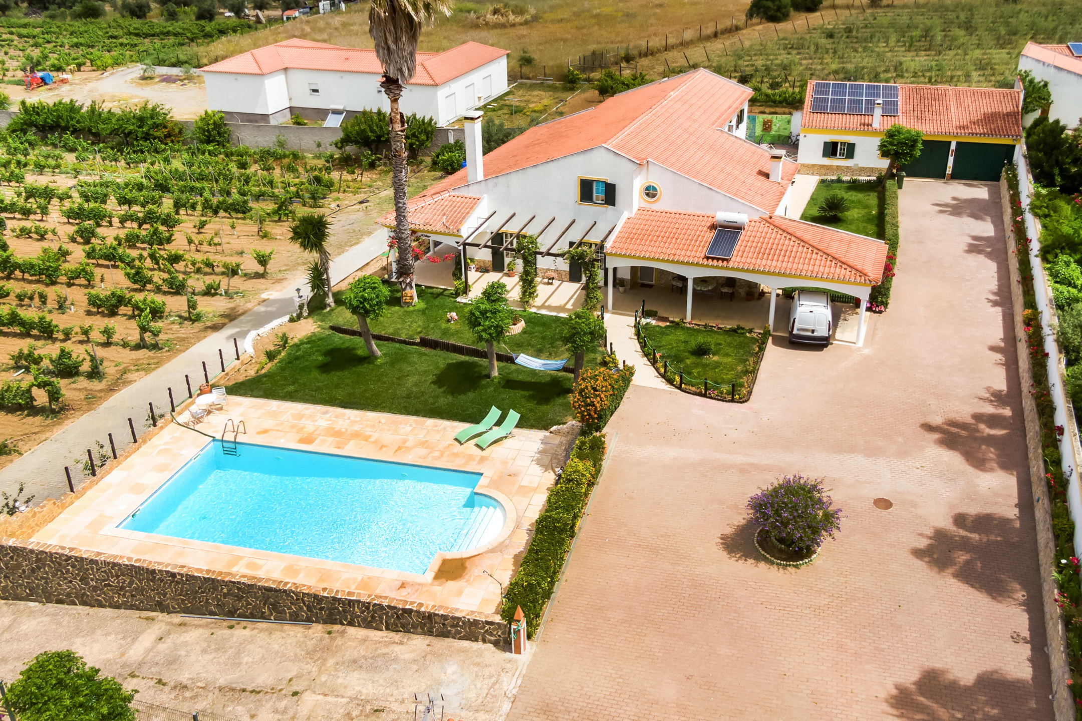 Quinta na Vidigueira, com vinha e piscina.