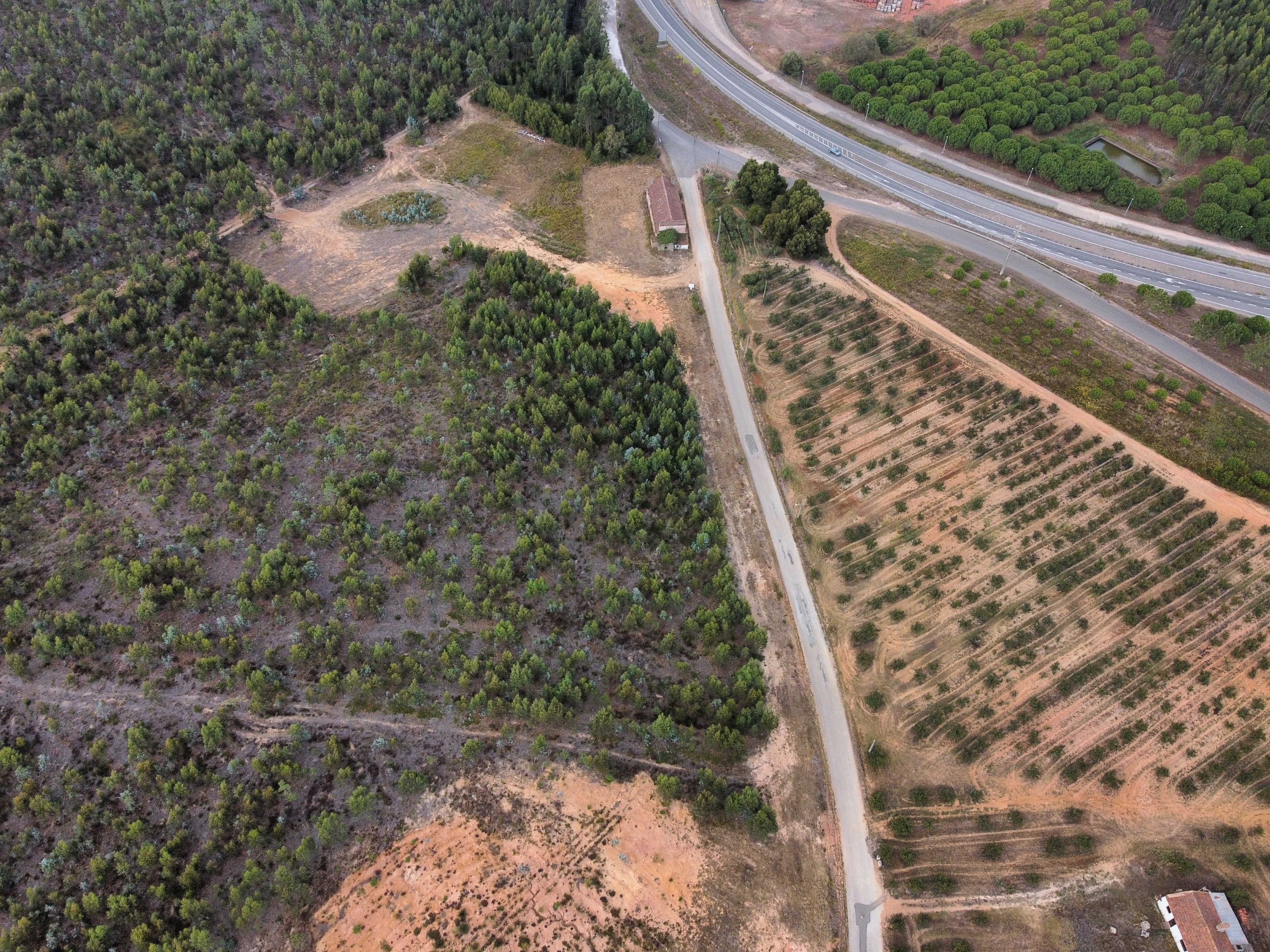 Lote de Terreno em Cadaval
