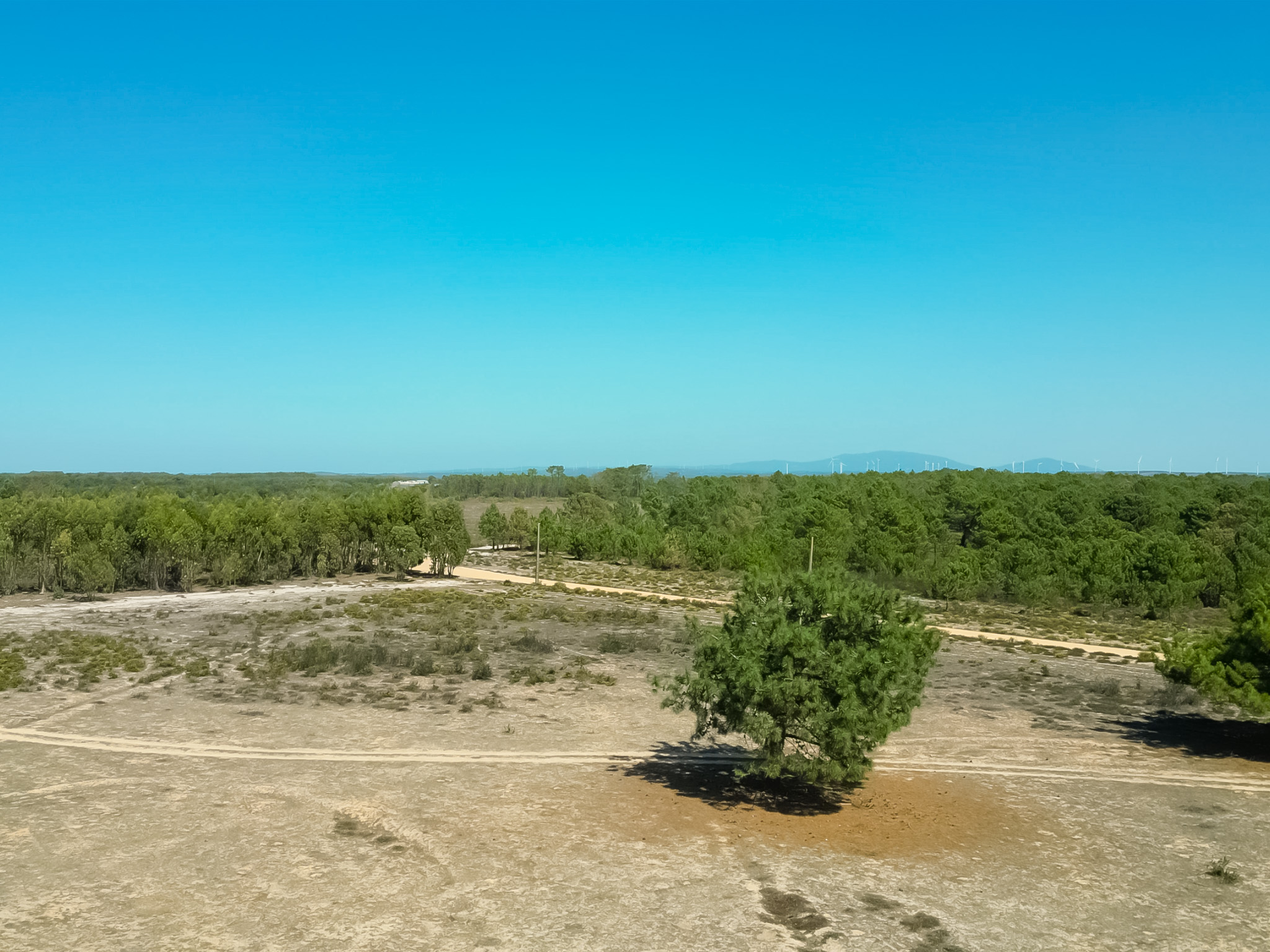 Terreno rústico plano, de excelente acesso, na Raposeira, Vila do Bispo - Deal Homes